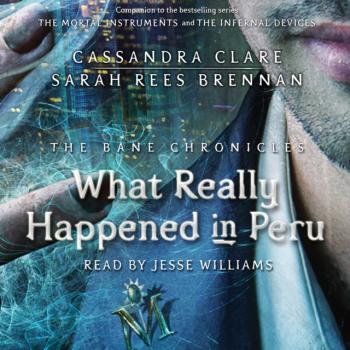 Скачать What Really Happened in Peru - Sarah Rees Brennan
