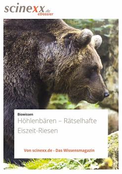 Скачать Höhlenbären - Dieter  Lohmann
