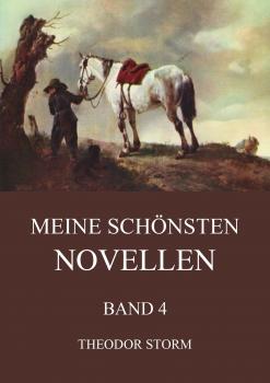Скачать Meine schönsten Novellen, Band 4 - Theodor Storm