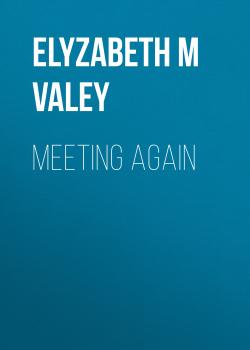 Скачать Meeting Again - Elyzabeth M VaLey