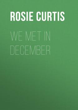 Скачать We Met in December - Rosie Curtis