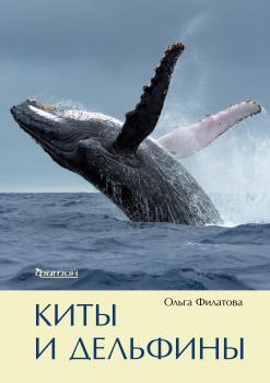 Скачать Киты и дельфины - Ольга Филатова