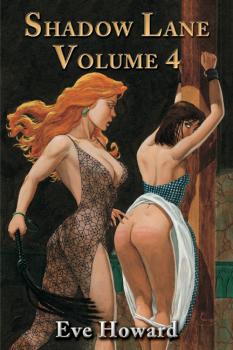 Скачать Shadow Lane Volume 4: The Chronicles of Random Point, Spanking, Sex, B&D and Anal Eroticism in a Small New England Village - Eve Howard