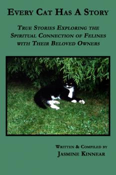 Скачать Every Cat Has A Story: True Stories Exploring the Spiritual Connection of Felines with Their Beloved Owners - Jasmine Kinnear