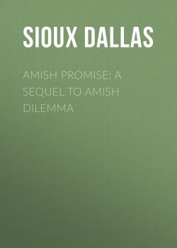 Скачать Amish Promise: A Sequel to Amish Dilemma - Sioux Dallas