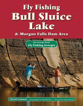 Скачать Fly Fishing Bull Sluice Lake & Morgan Falls Dam Area - David Cannon L.