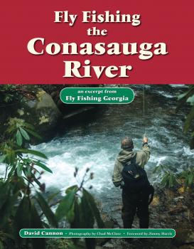 Скачать Fly Fishing the Conasauga River - David Cannon L.