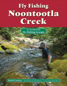 Скачать Fly Fishing Noontootla Creek - David Cannon L.