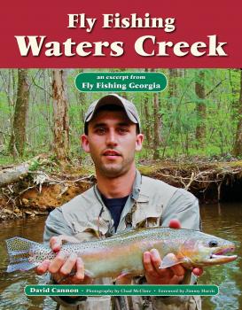Скачать Fly Fishing Waters Creek - David Cannon L.