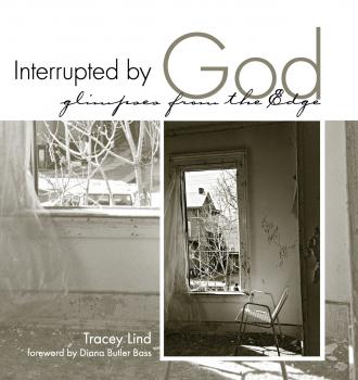 Скачать Interrupted by God - Tracey Lind