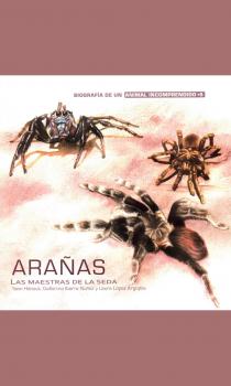 Скачать Arañas - Laura López Argoytia