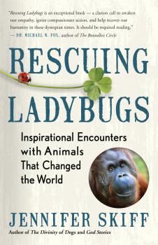 Скачать Rescuing Ladybugs - Jennifer Skiff