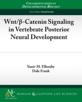 Скачать Wnt/?-Catenin Signaling in Vertebrate Posterior Neural Development - Dale Robinette Frank