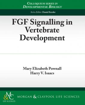 Скачать FGF Signalling in Vertebrate Development - Mary Elizabeth Pownall