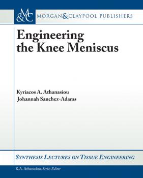 Скачать Engineering the Knee Meniscus - Kyriacos Athanasiou