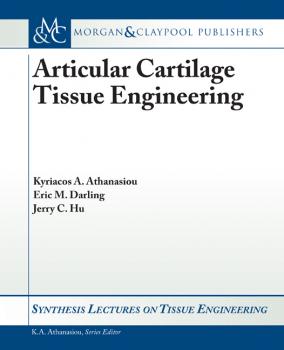 Скачать Articular Cartilage Tissue Engineering - Kyriacos Athanasiou