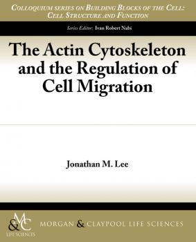 Скачать The Actin Cytoskeleton and the Regulation of Cell Migration - Jonathan M. Lee