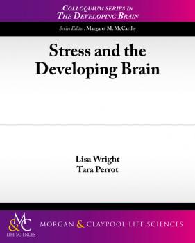 Скачать Stress and the Developing Brain - Lisa Wright