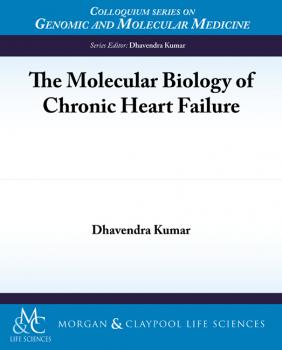 Скачать The Molecular Biology of Chronic Heart Failure - Dhavendra Kumar