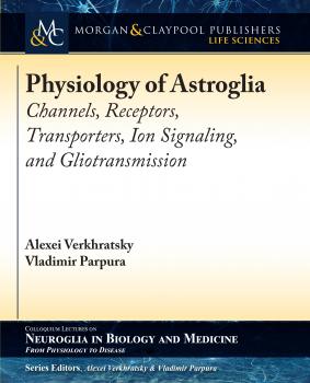 Скачать Physiology of Astroglia - Alexei Verkhratsky