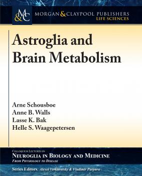 Скачать Astroglia and Brain Metabolism - Arne Schousboe