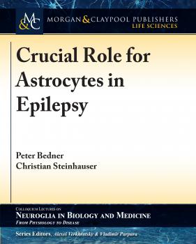 Скачать Crucial Role for Astrocytes in Epilepsy - Peter Bedner