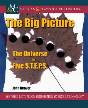 Скачать The Big Picture - John Beaver
