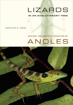 Скачать Lizards in an Evolutionary Tree - Jonathan Losos