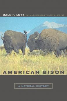 Скачать American Bison - Dale F. Lott