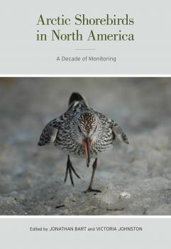 Скачать Arctic Shorebirds in North America - Отсутствует