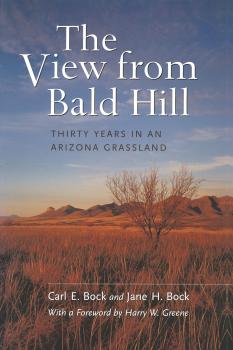 Скачать The View from Bald Hill - Carl E. Bock