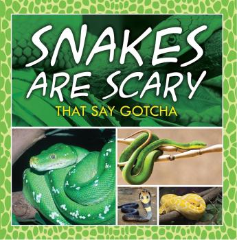 Скачать Snakes Are Scary - That Say Gotcha - Baby Professor