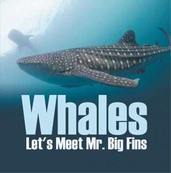 Скачать Whales - Let's Meet Mr. Big Fins - Baby Professor