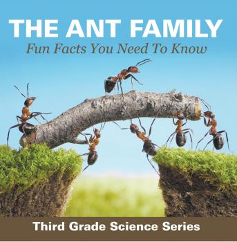 Скачать The Ant Family - Fun Facts You Need To Know : Third Grade Science Series - Baby Professor