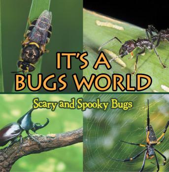 Скачать Its A Bugs World: Scary and Spooky Bugs - Baby Professor