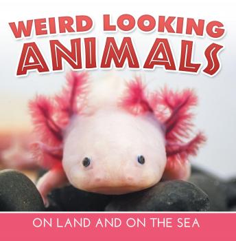 Скачать Weird Looking Animals On Land and On The Sea - Baby Professor