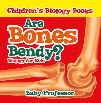 Скачать Are Bones Bendy? Biology for Kids | Children's Biology Books - Baby Professor