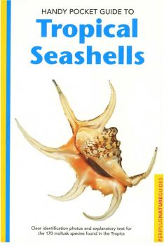 Скачать Handy Pocket Guide to Tropical Seashells - Pauline Fiene-Severns