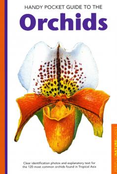 Скачать Handy Pocket Guide to Orchids - David P. Banks