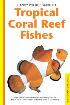 Скачать Handy Pocket Guide to Tropical Coral Reef Fishes - Gerald Allen