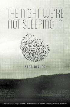 Скачать The Night We're Not Sleeping In - Sean Bishop