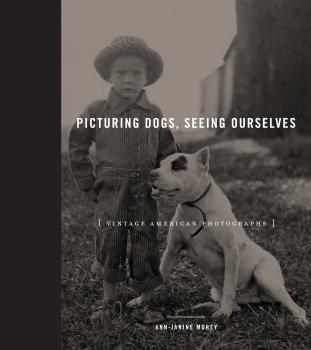 Скачать Picturing Dogs, Seeing Ourselves - Ann-Janine Morey