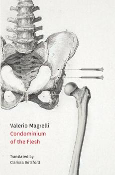 Скачать Condominium of the Flesh - Valerio Magrelli