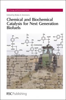 Скачать Chemical and Biochemical Catalysis for Next Generation Biofuels - Отсутствует