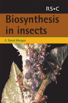 Скачать Biosynthesis in Insects - E David Morgan