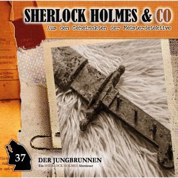 Скачать Sherlock Holmes & Co, Folge 37: Der Jungbrunnen, Episode 2 - Markus Topf