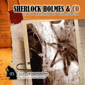 Скачать Sherlock Holmes & Co, Folge 5: Das Spinnennetz - Markus Winter