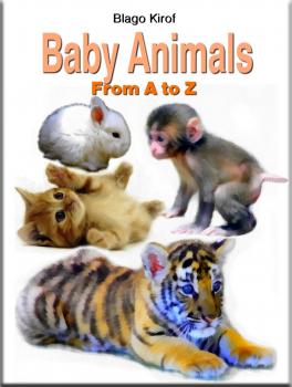 Скачать Baby Animals From A to Z - Blago Kirof