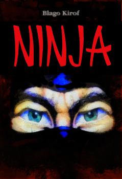 Скачать Ninja - Blago Kirof