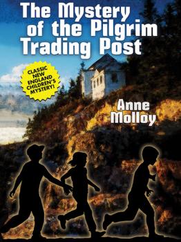 Скачать The Mystery of the Pilgrim Trading Post - Anne Molloy
